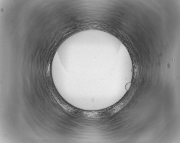 X0000085310660200704092324
