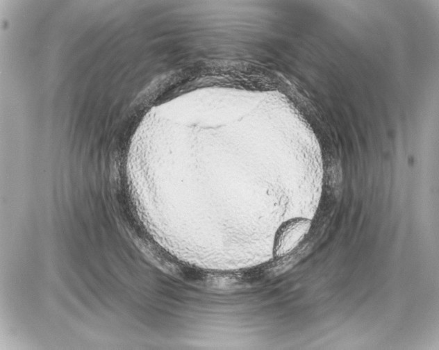 X0000085310662200704092324