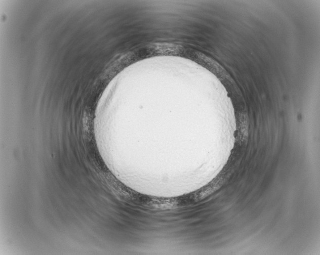 X0000085310667200704092324