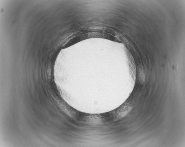 X0000085310668200704092325