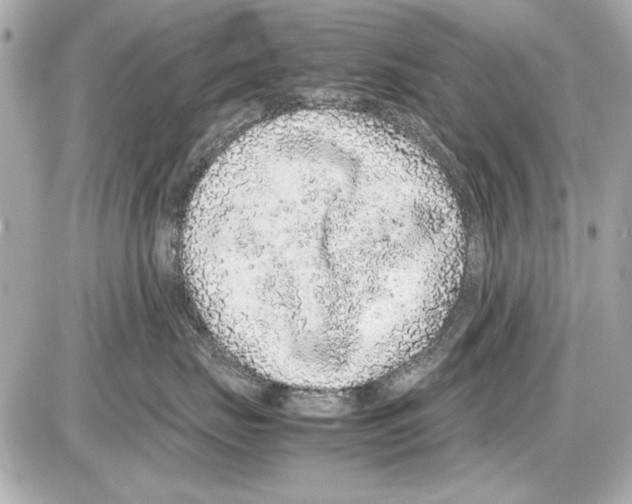 X0000085310671200704092325