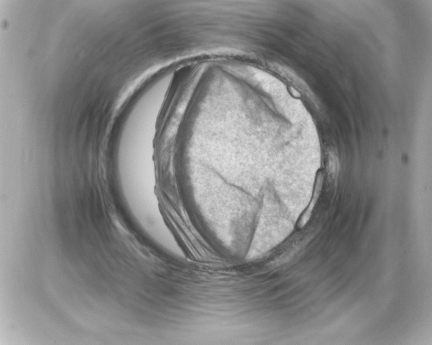 X0000085310676200704092324
