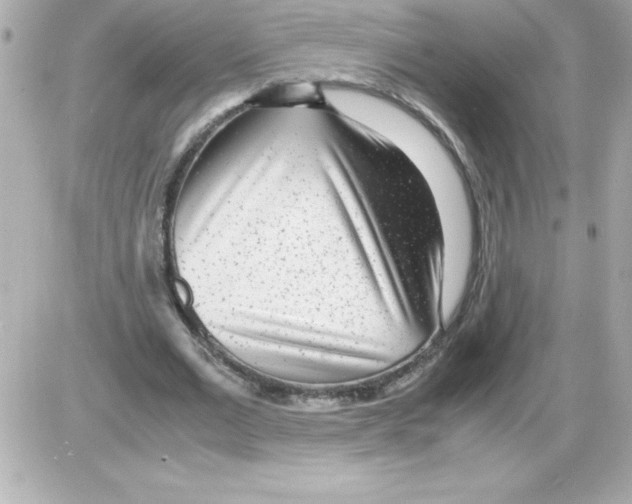 X0000085310677200704092324
