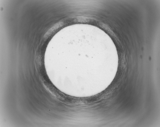 X0000085310683200704092324