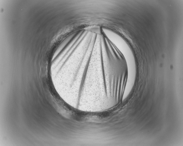 X0000085310685200704092324