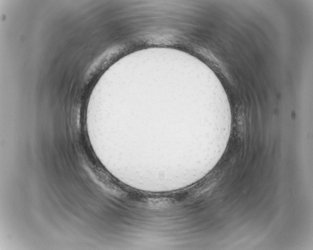 X0000085310686200704092324