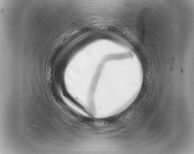 X0000085310693200704092323