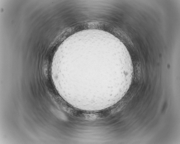 X0000085310698200704092323