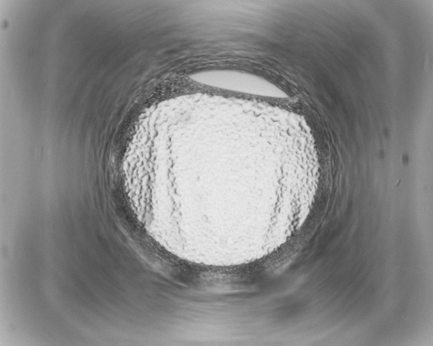 X0000085310699200704092323
