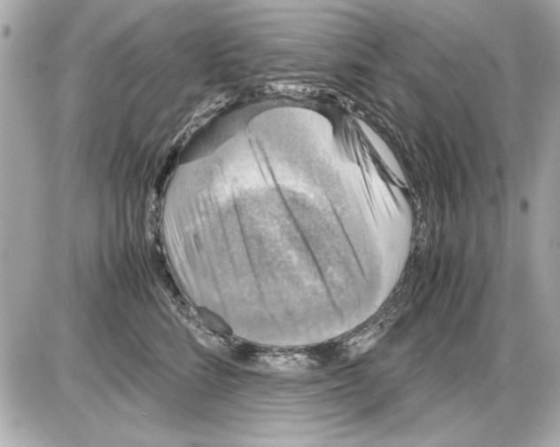 X0000085310712200704092323
