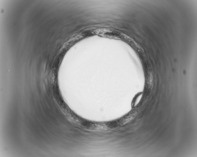 X0000085310715200704092323