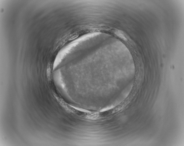 X0000085310720200704092323