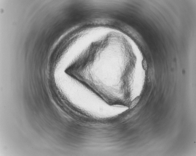 X0000085310722200704092322