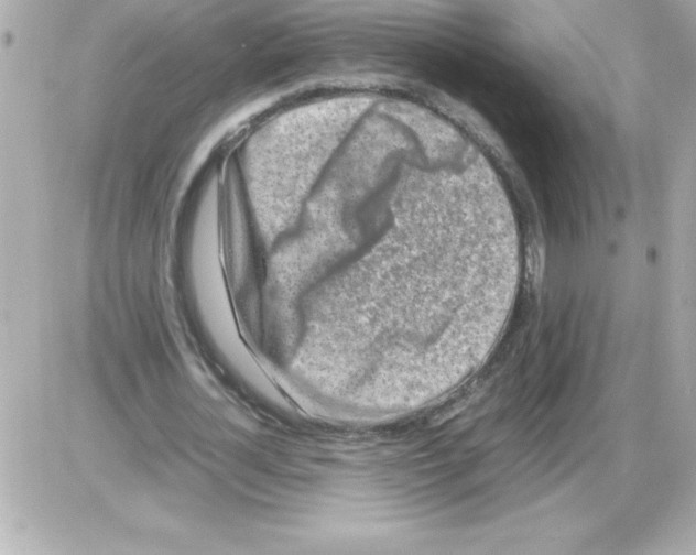 X0000085310724200704092322