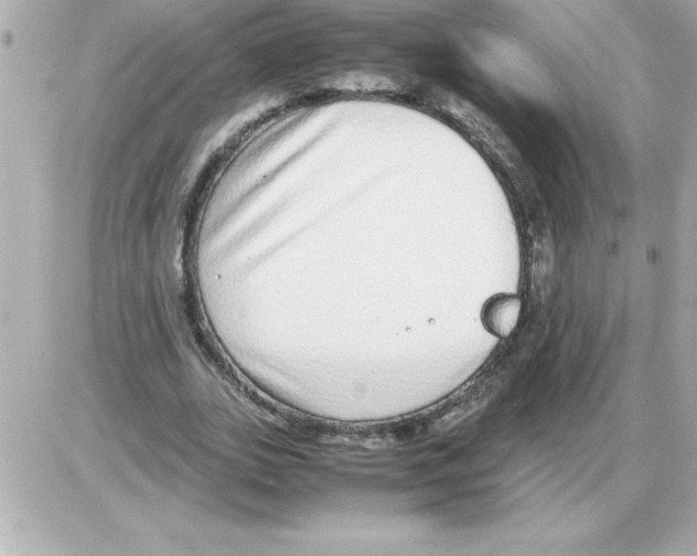 X0000085310727200704092322