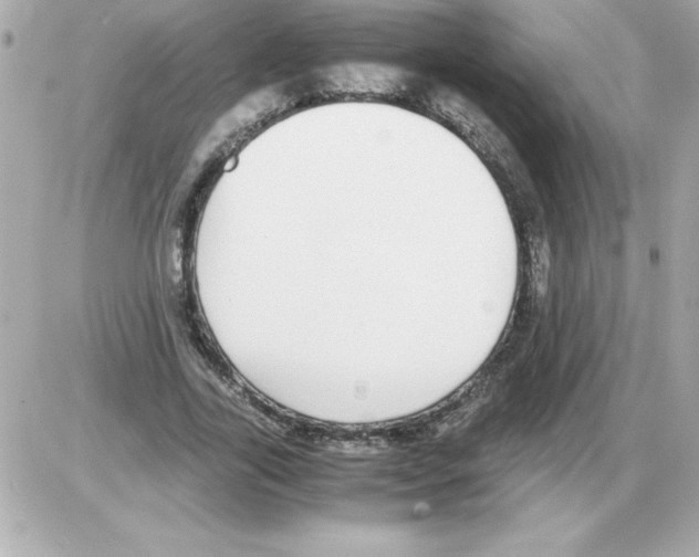 X0000085310731200704092322