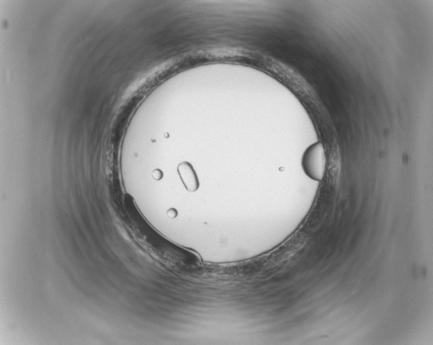 X0000085310732200704092322