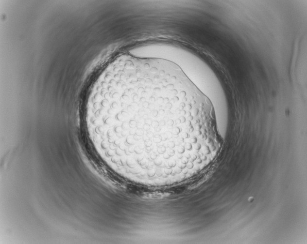 X0000085310734200704092322