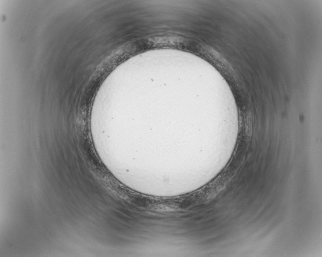 X0000085310737200704092322