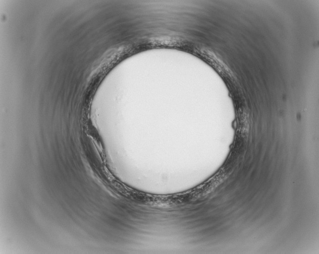 X0000085310738200704092322