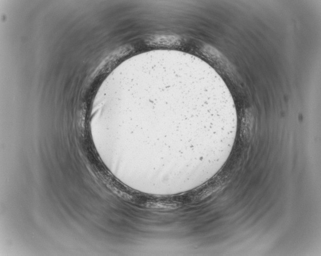 X0000085310739200704092323