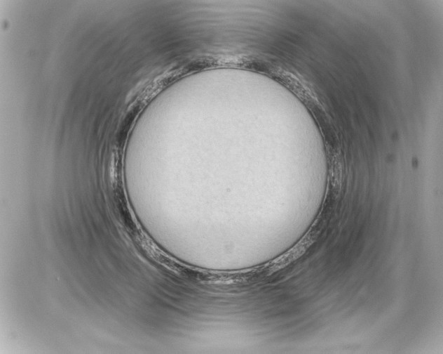 X0000085310740200704092323
