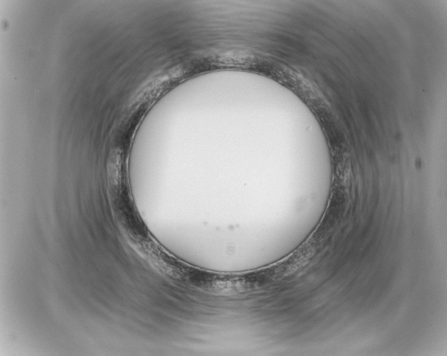 X0000085310744200704092323