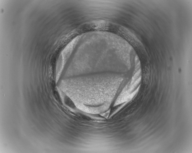X0000085310748200704092323