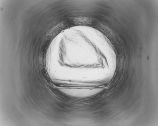 X0000085310749200704092323
