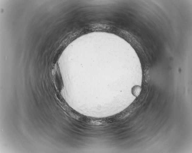 X0000085310753200704092323