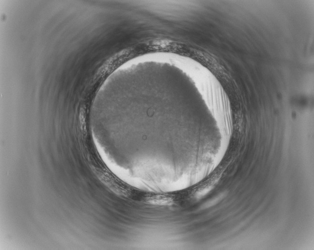 X0000085310754200704092323