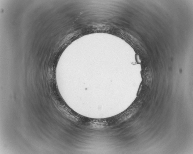 X0000085310756200704092323