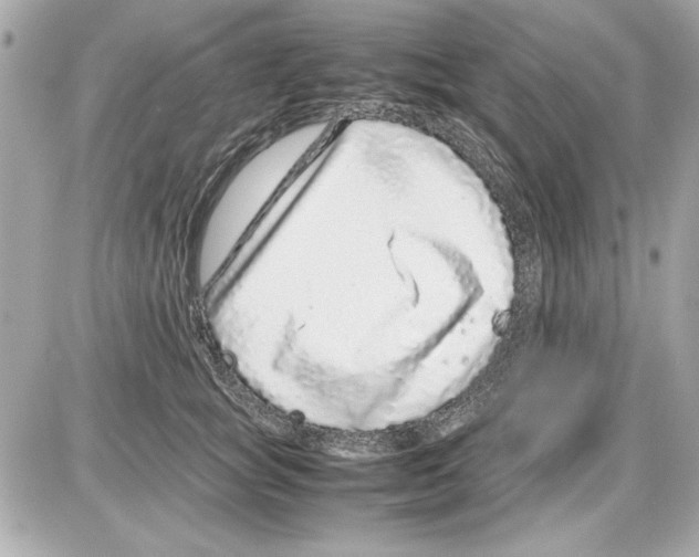 X0000085310757200704092323