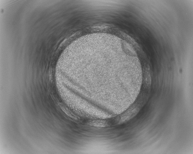 X0000085310758200704092323