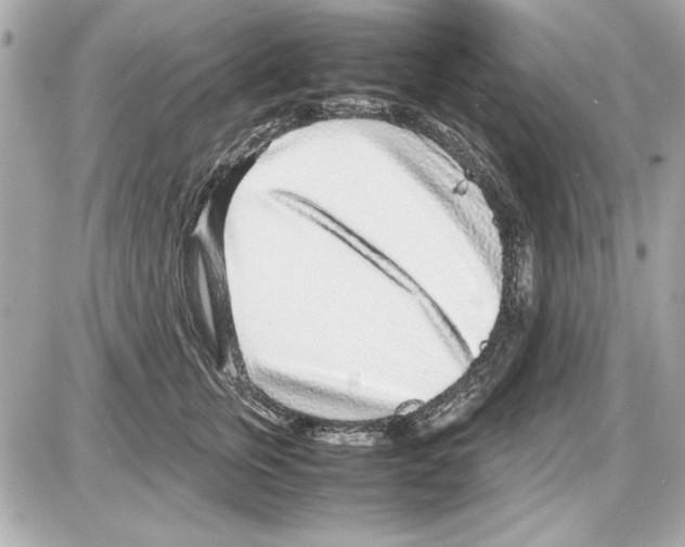 X0000085310759200704092323