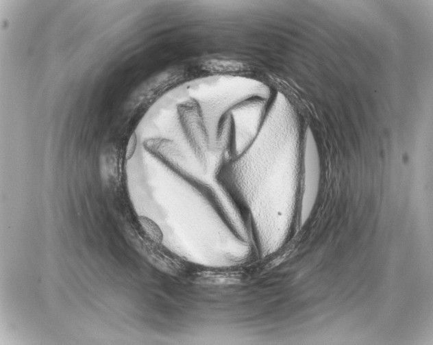 X0000085310763200704092323