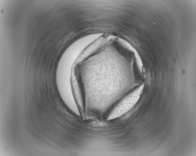 X0000085310766200704092323