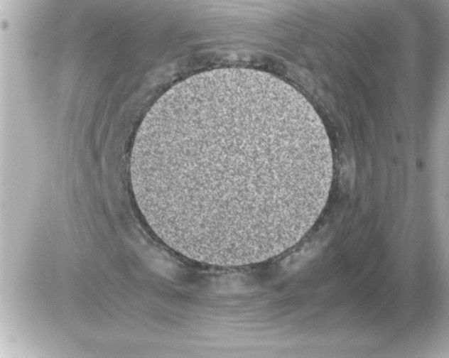 X0000085310769200704092322