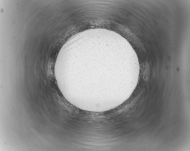 X0000085310770200704092322