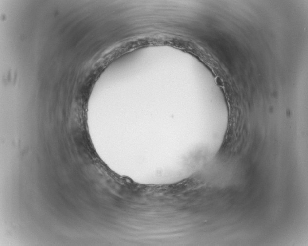 X0000085310773200704092322