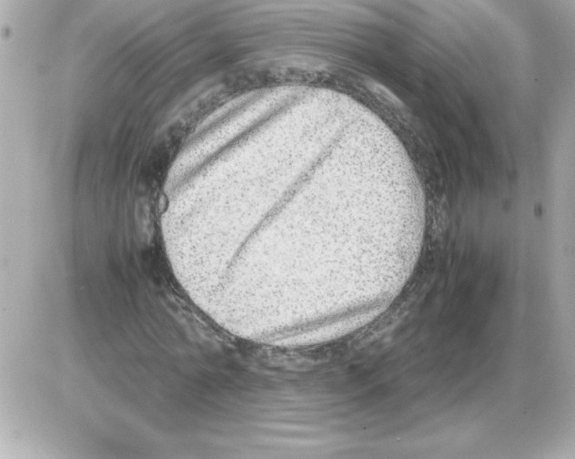X0000085310774200704092322
