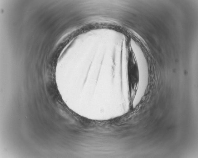 X0000085310775200704092322