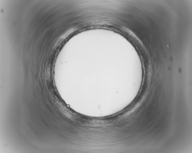 X0000085310777200704092322