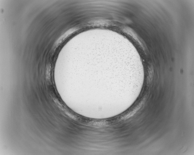 X0000085310778200704092322