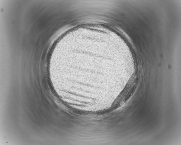 X0000085310779200704092322