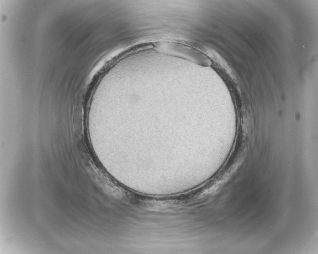 X0000085310781200704092322