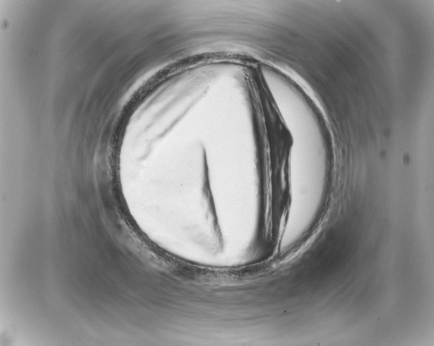 X0000085310783200704092322