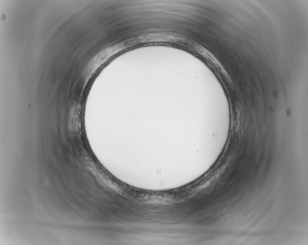 X0000085310786200704092322