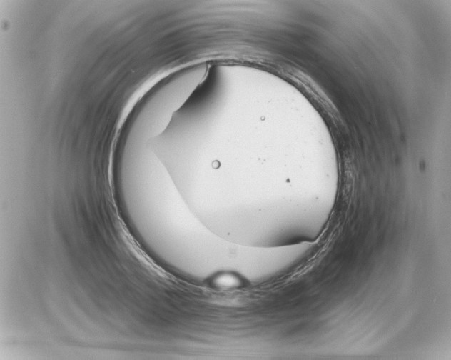 X0000085310788200704092322