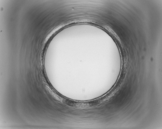 X0000085310789200704092322